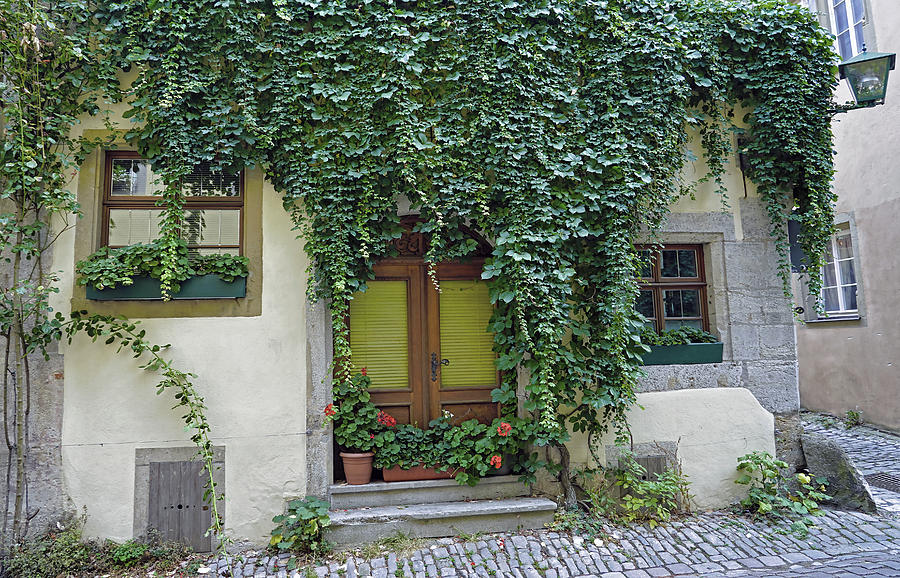 Rothenburg Germany Print Ivy Door Photo Door Architecture Germany Door Photography