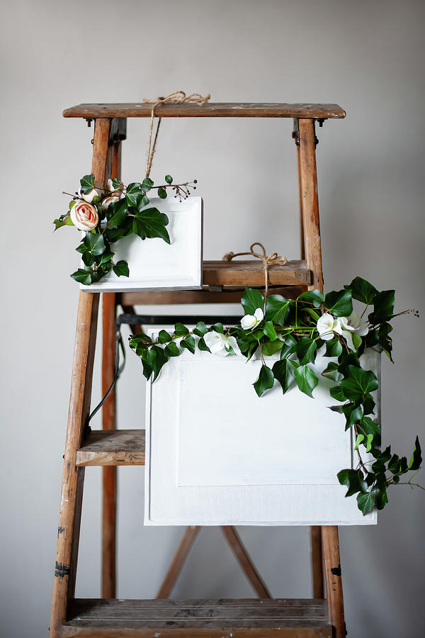 Ivy Tendrils, Fabric Flowers And Framed Pictures Painted Over In White Arranged On Ladder Photograph by Alicja Koll