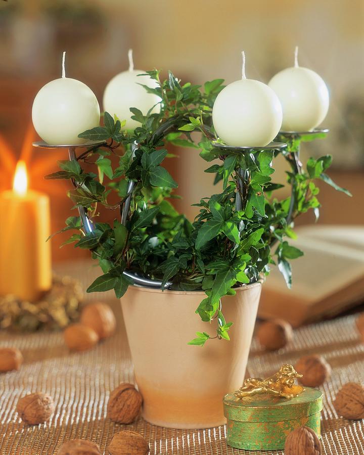 Ivy Twisted Round Advent Candle Holder Photograph by Friedrich Strauss