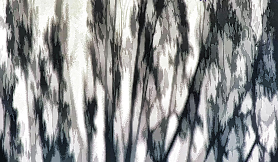 Jacaranda Tree Shadows on Wall Abstract 1 Digital Art by Linda Brody
