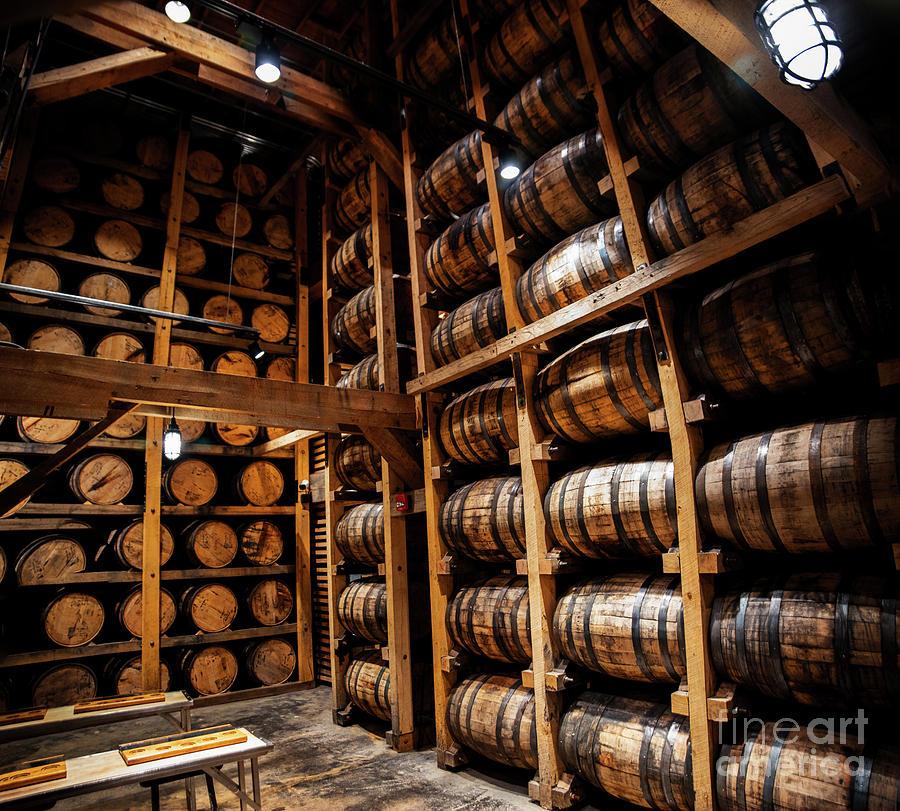 Jack Daniels Whiskey Barrels Photograph by Paul Mashburn