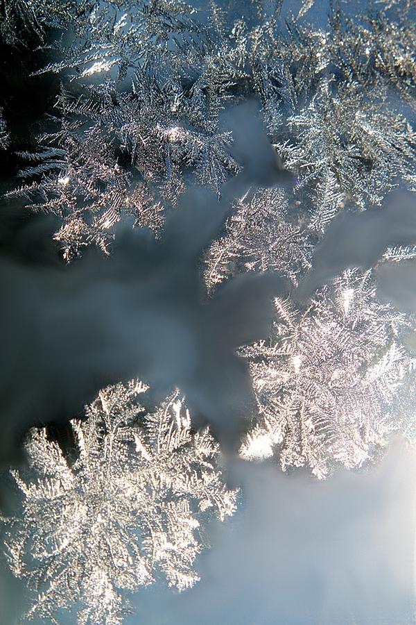 Jack Frost On My Windowpane Photograph by Living Color Photography Lorraine Lynch