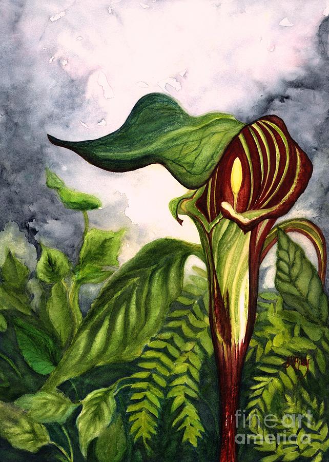 Jack in the Pulpit - Pitcher Plant  Painting by Janine Riley