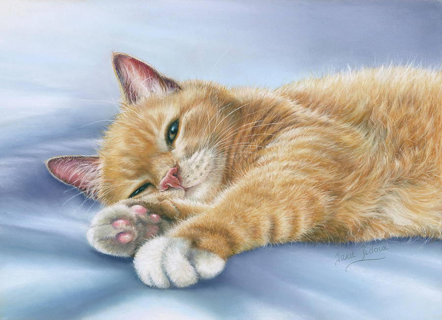 Animal Painting - Jack by Janet Pidoux