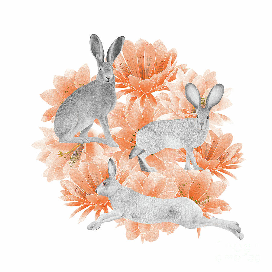 Rabbit Drawing - Jack Rabbits, 2021 Graphite Pencil And Digital by Stacy Hsu
