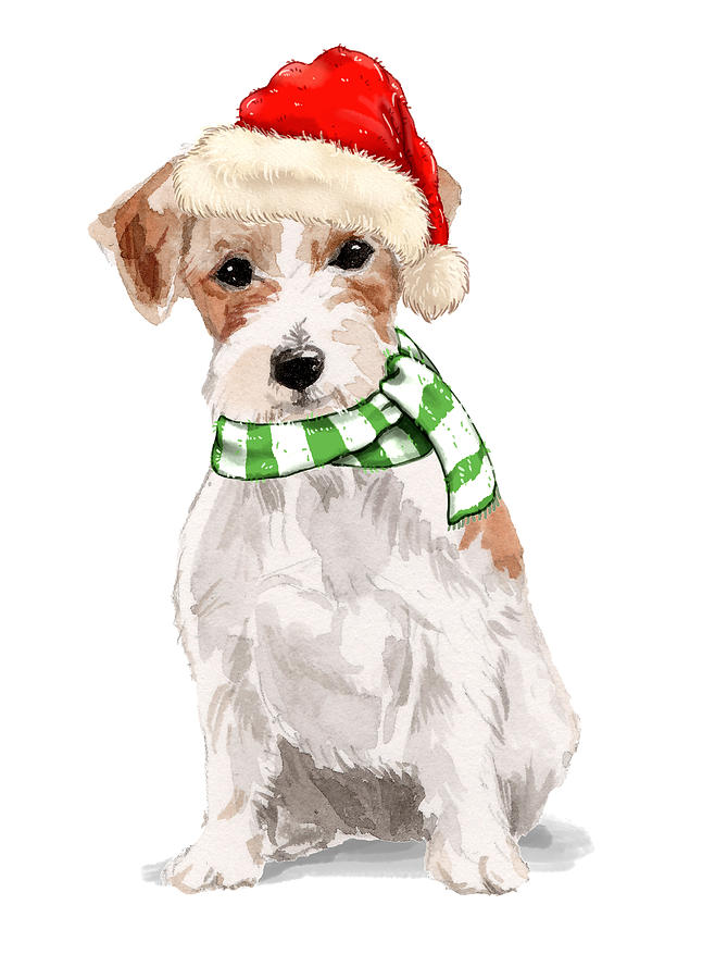 Jack Russell Dog Christmas Digital Art by Doreen Erhardt