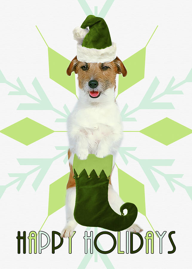 Jack Russell Terrier Dog Green Snowflake Digital Art by Doreen Erhardt