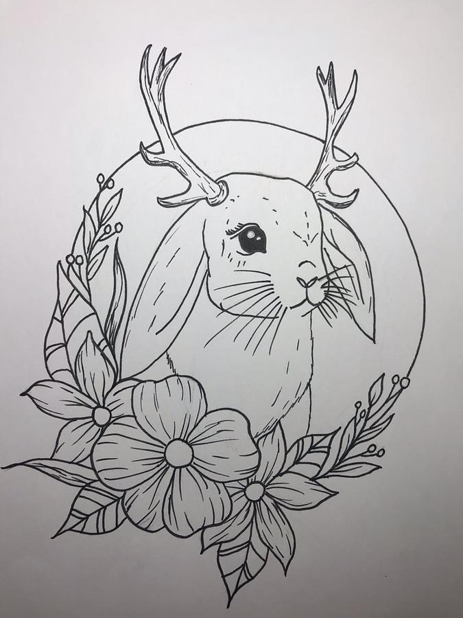 Drawing Jackalope Art