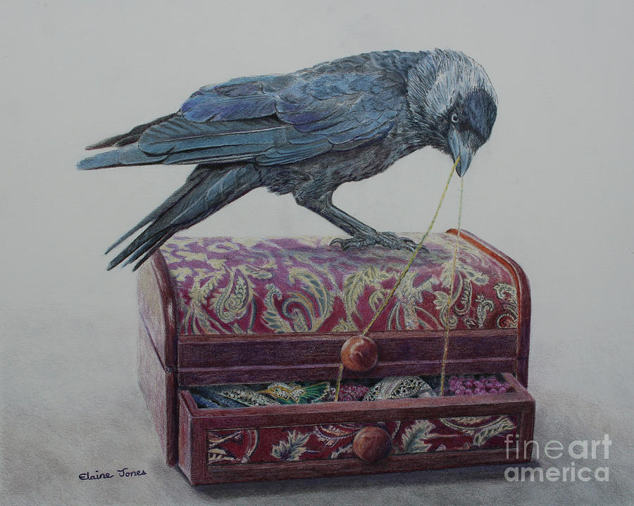 Crow Drawing - Jackdaw Gold Heist by Elaine Jones