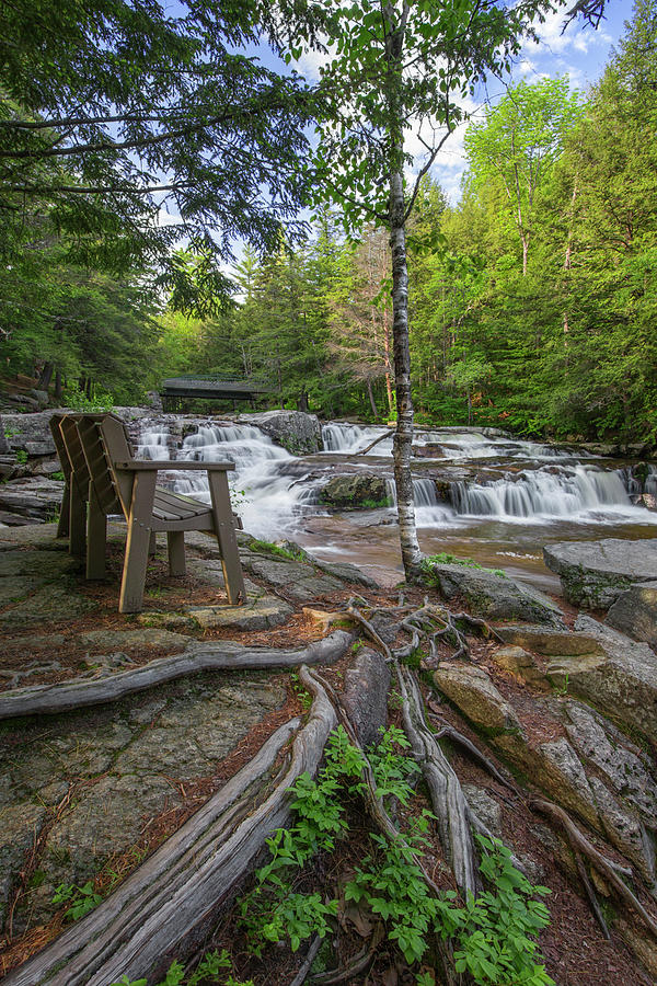 Jackson Falls Bench Photograph by White Mountain Images