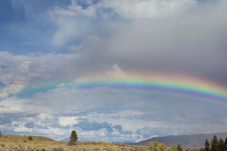 Jackson Hole Rainbow Photograph by Kathleen Bishop