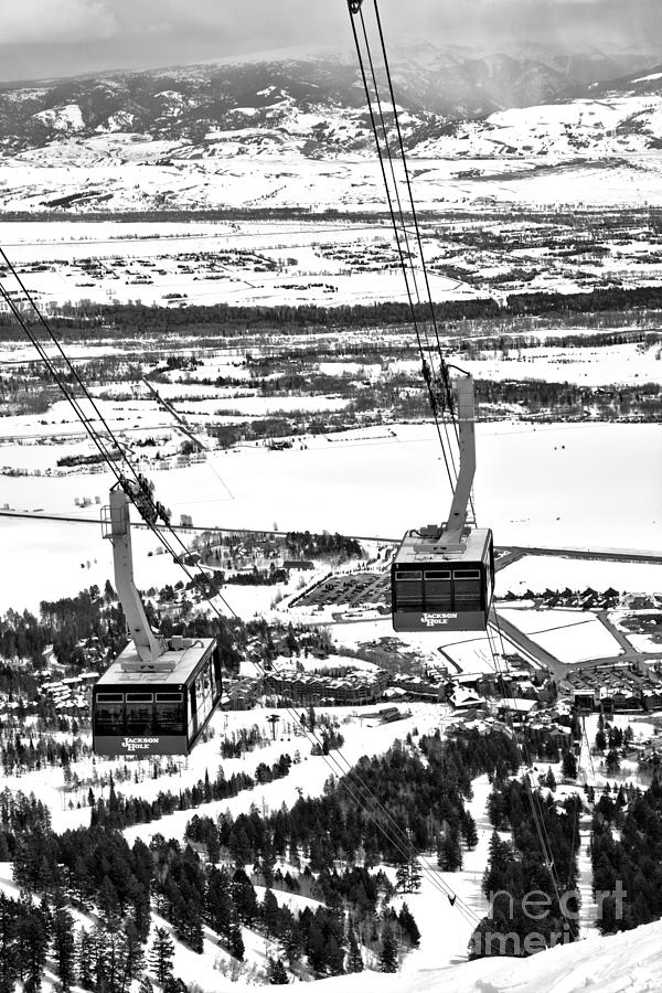 Jackson Hole Twin Trams Black And White Photograph by Adam Jewell