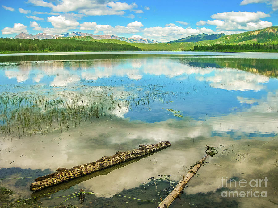 Jackson Lake overlook Photograph by Benny Marty