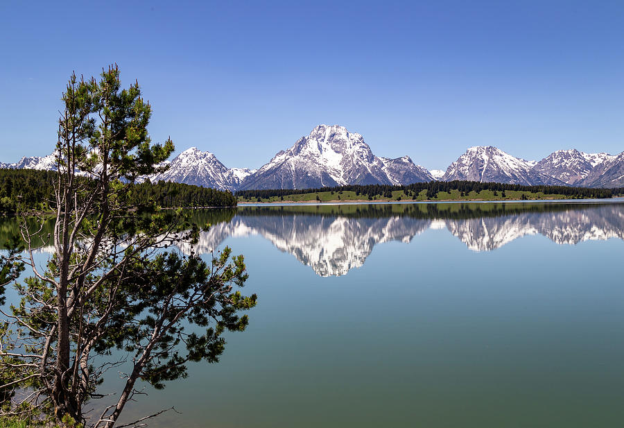 Jackson Lake Overlook by Michael Chatt Jackson Lake Overlook by Michael Chatt