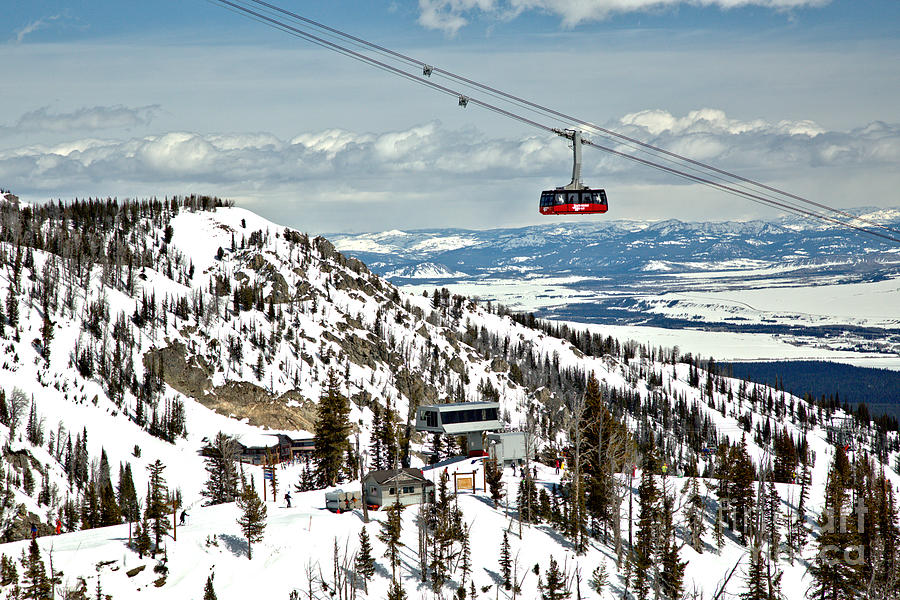 Jackson Ski Tram In The Sky Photograph by Adam Jewell