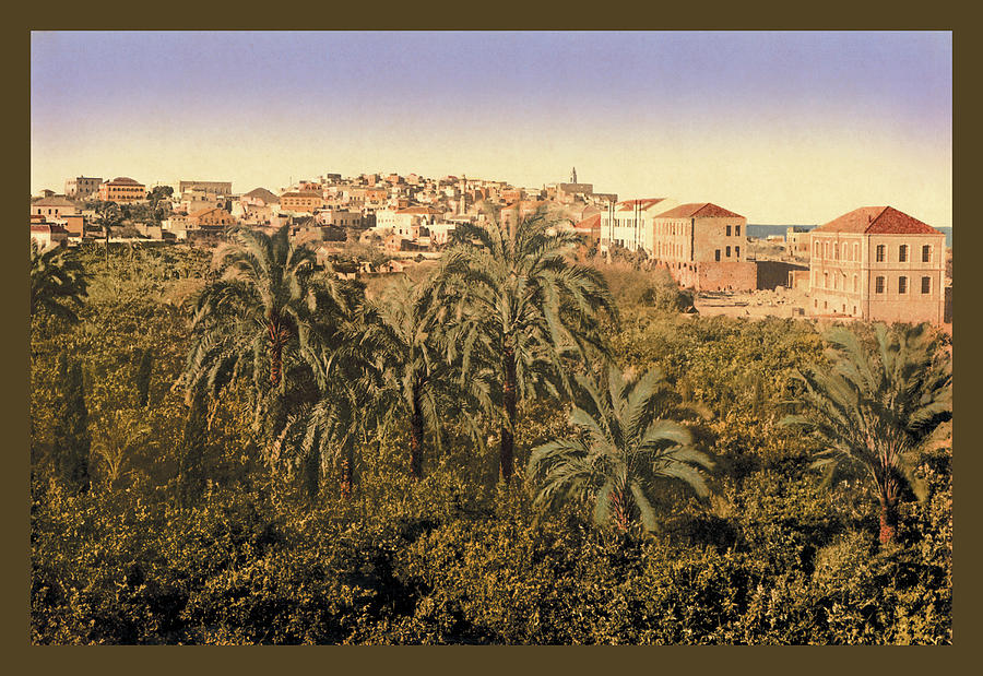 Jaffa Garden Painting by Detroit photographic Company