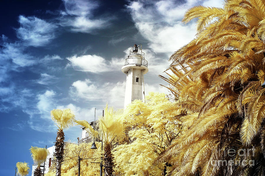 Jaffa Light Infrared in Israel Photograph by John Rizzuto