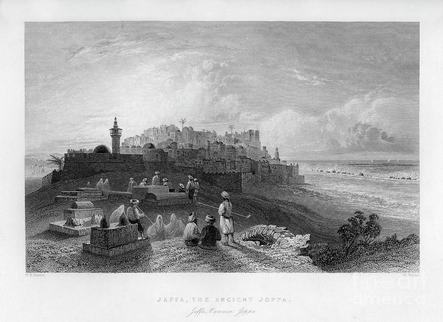 Jaffa, The Ancient Joppa, Palestine Drawing by Print Collector