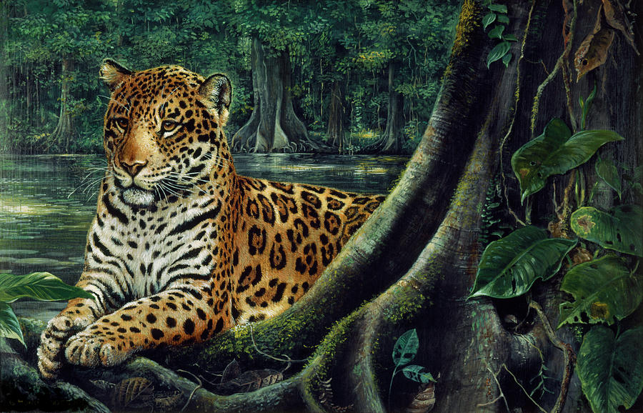 Jaguar Painting - Jaguar By The River by Harro Maass
