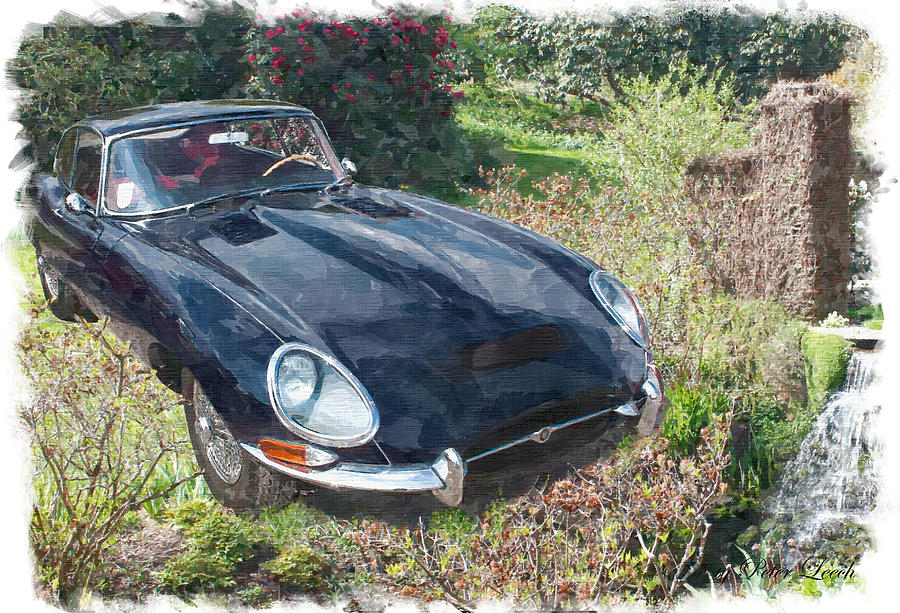 Jaguar E Type by Peter Leech Jaguar E Type by Peter Leech
