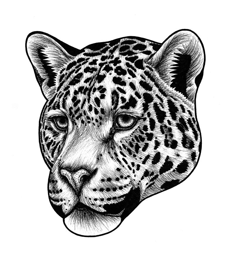 Jaguar portrait - big cat ink illustration Drawing by Loren Dowding