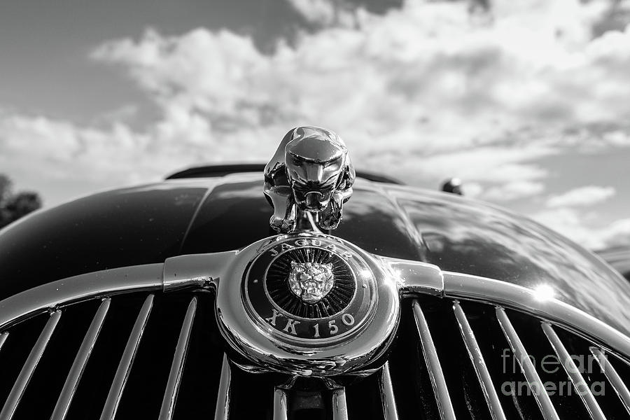 Car Photograph - Jaguar XK 150 Hood Medallion  by Edward Fielding