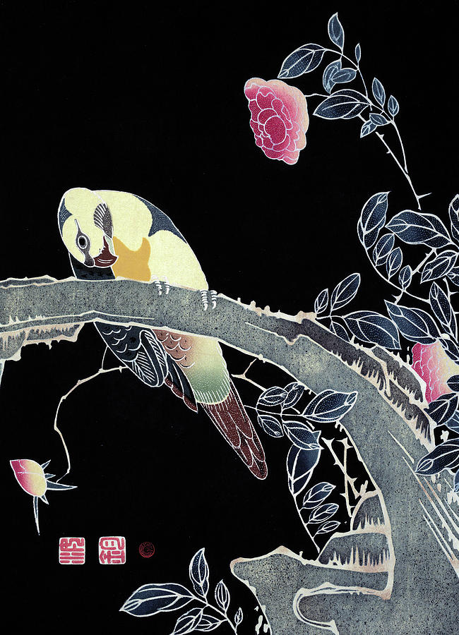 Jakuchu: Parrot, C1900 Painting by Ito Jakuchu