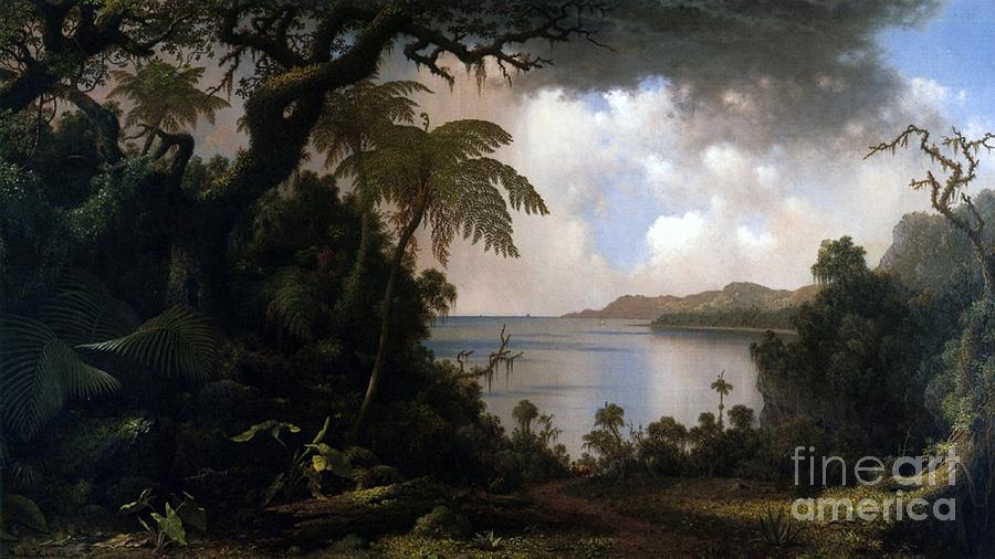 Tree Painting - Jamaica, View From Fern-tree Walk, 1887 by Martin Johnson Heade