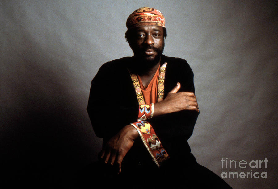 James Blood Ulmer Photograph by The Estate Of David Gahr