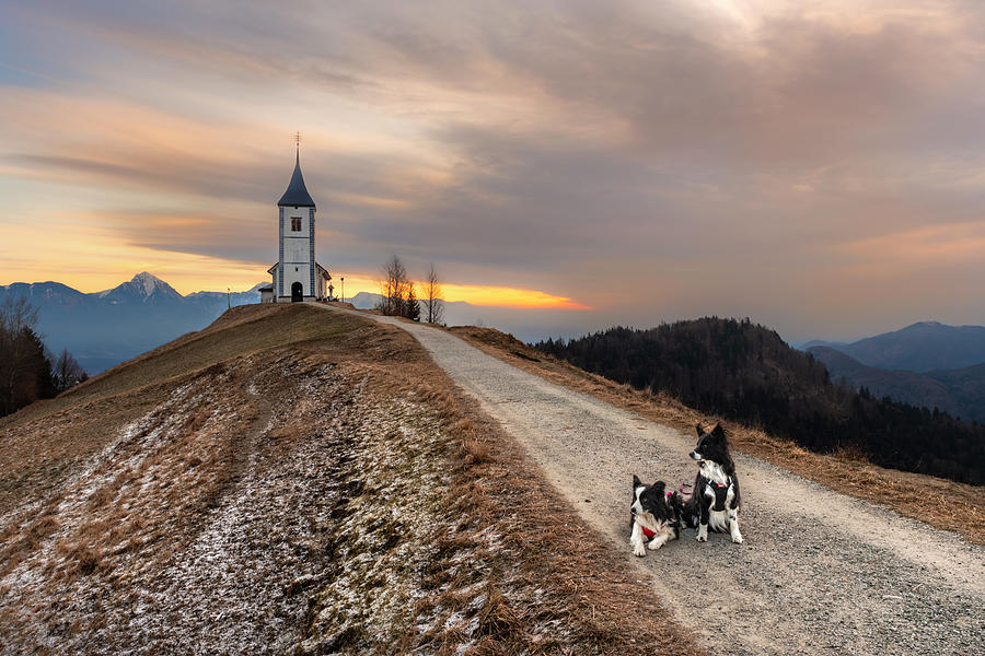 Jamnik, Slovenia Photograph by Toma Mikec