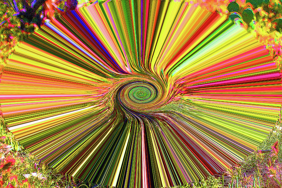 Janca Abstract Of An Agave Plant Digital Art by Tom Janca