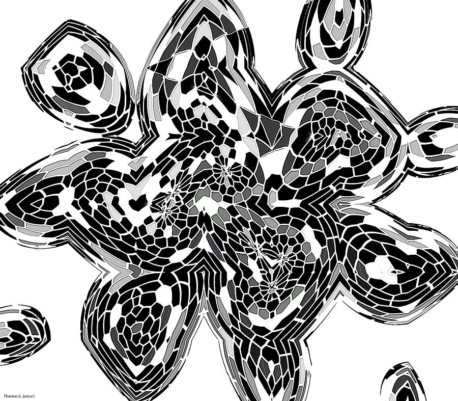 Janca Black And White Abstract Digital Art by Tom Janca