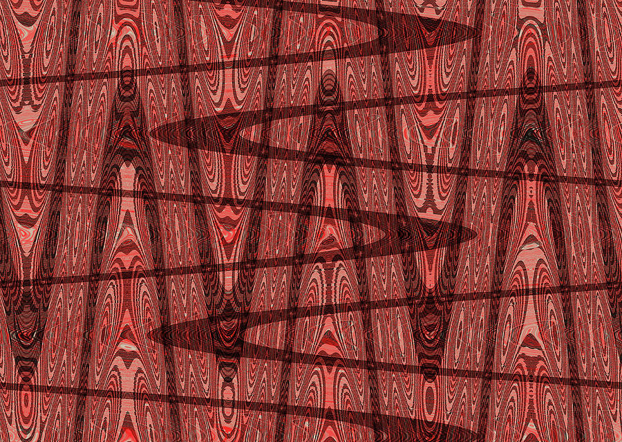 Janca Red And Black Panel Abstract 8936ew1 Digital Art by Tom Janca