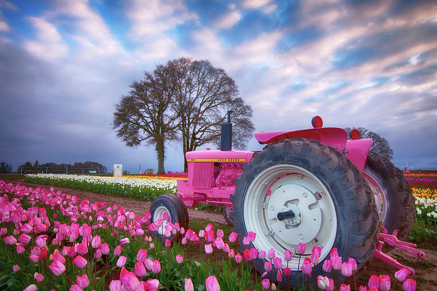 Jane Deere Photograph by Darren White Photography - Fine Art America