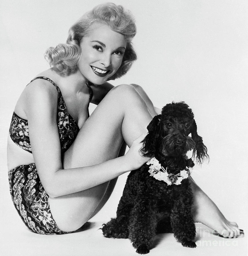 Janet Leigh In Bathing Suit With Poodle Photograph by Bettmann