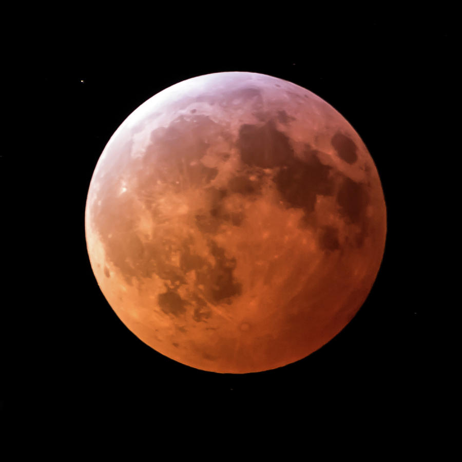 Space Photograph - January 2019 Super Blood Wolf Moon Lunar Eclipse Square by Terry DeLuco