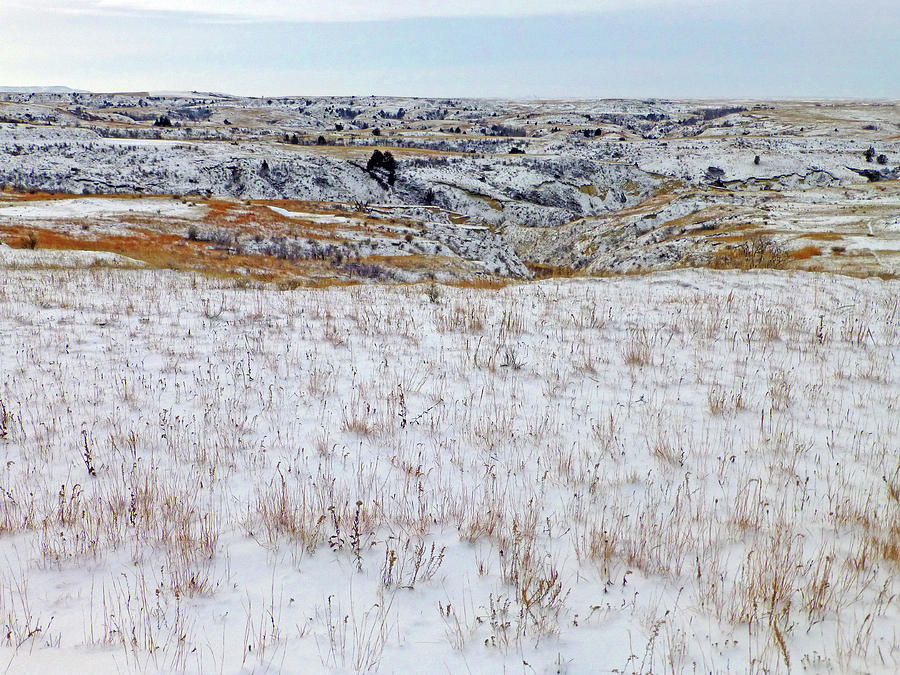 January Badlands Prairie Photograph by Cris Fulton