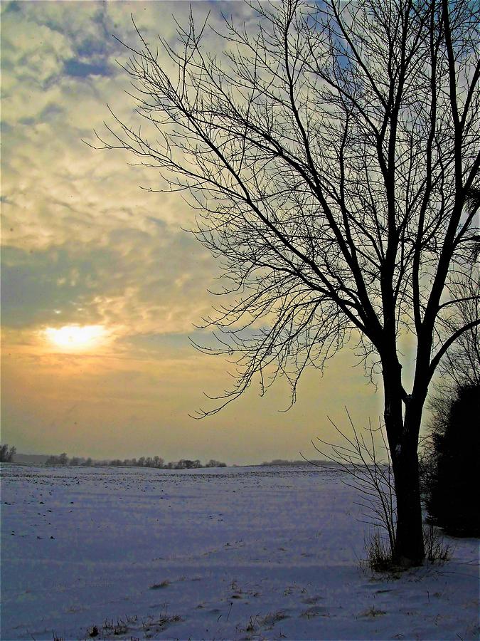 January Landscape Photograph by Diane Chandler