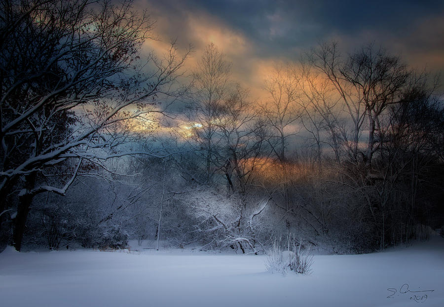 January Michigan Photograph by Evie Carrier