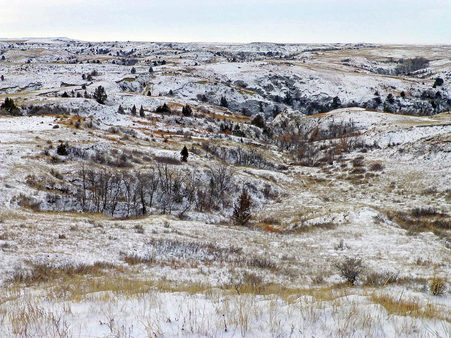January Prairie Photograph by Cris Fulton