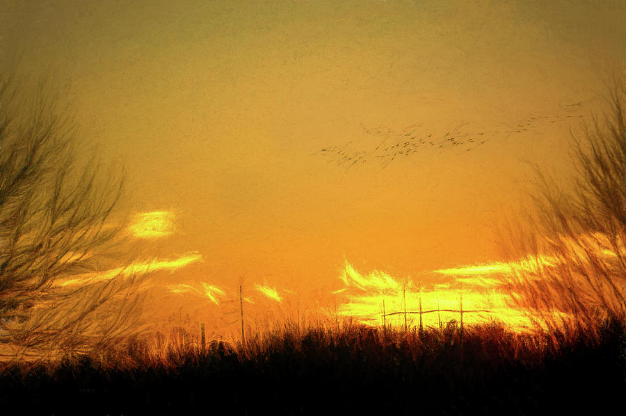 January Sunset - Lehigh Valley by Jason Fink January Sunset - Lehigh Valley by Jason Fink