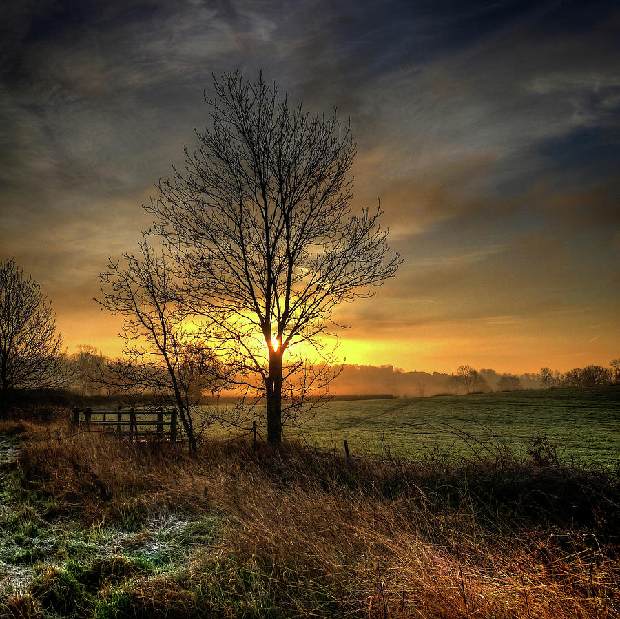 January Sunrise Photograph by Alan Sheers