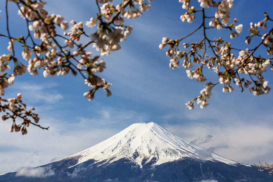 Japan, Chubu, Fuji-hakone-izu National Park, Mount Fuji During The ...