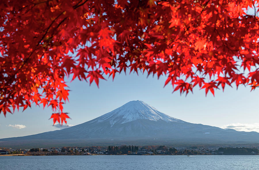 Japan, Chubu, Yamanashi, Mount Fuji And Lake Kawaguchi Digital Art by ...