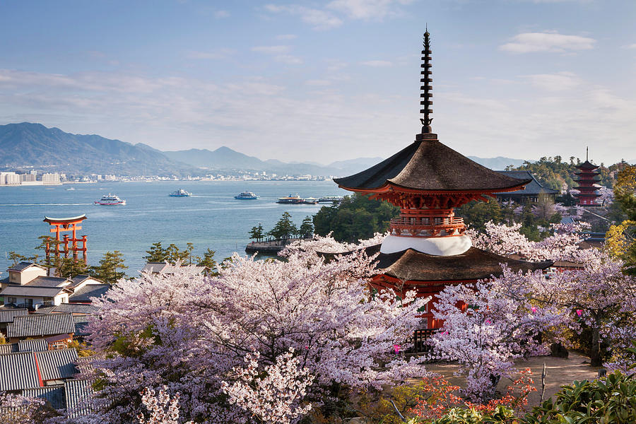 Japan, Honshu Island, Shrine by Tim Draper