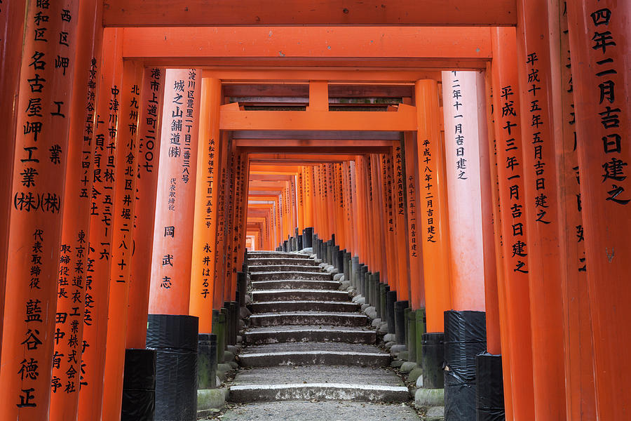 Japan, Kansai, Kyoto, Shrine Digital Art by Tim Draper