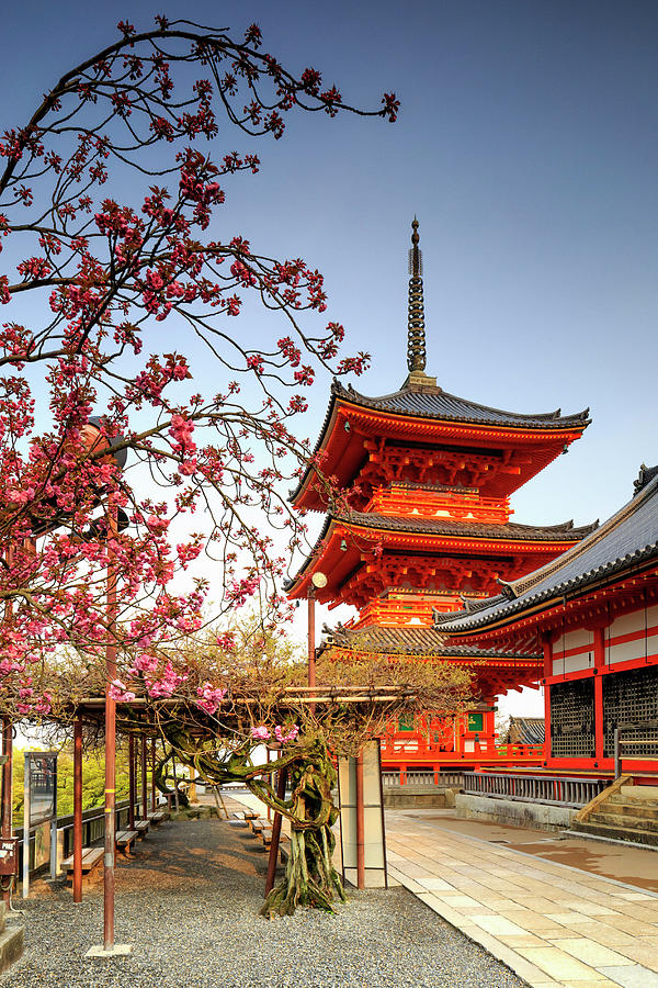 Japan, Kansai, Kyoto, Temple Digital Art by Maurizio Rellini
