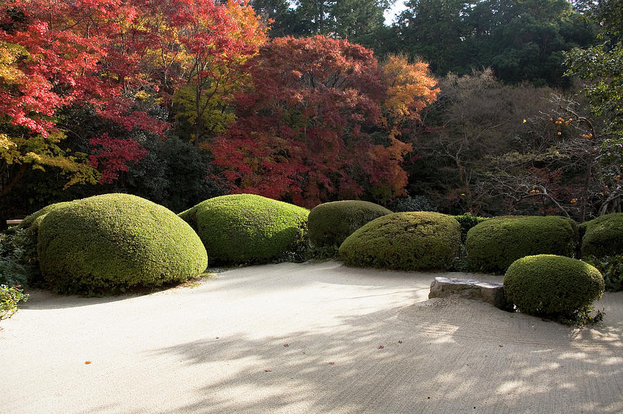 Japan, Kyoto, Shisendo Temple, Garden Photograph by Hiroshi Watanabe