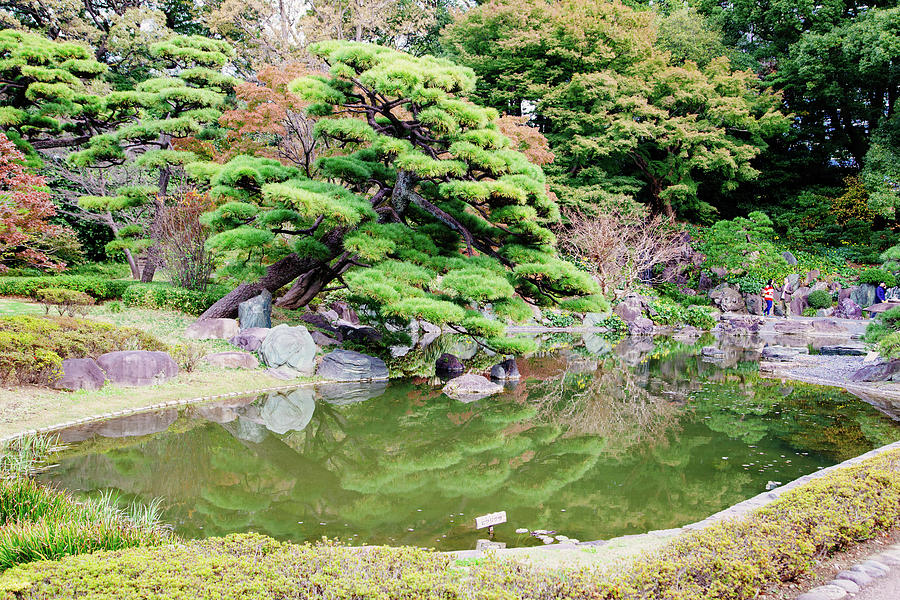 Japan park scene III Photograph by Jonathan Keane