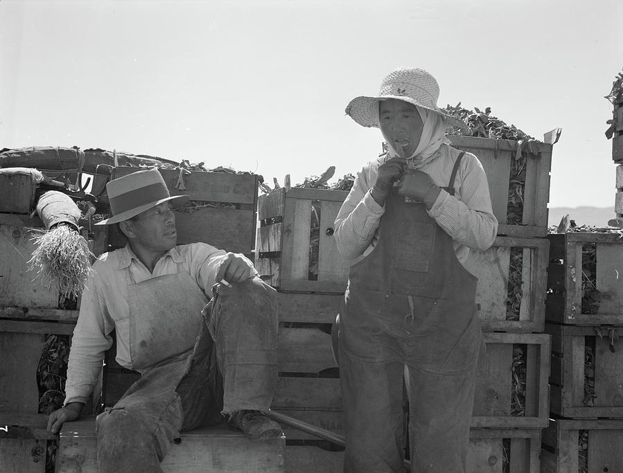 Japanese Agricultural Workers In California, 1937 Photograph by ...